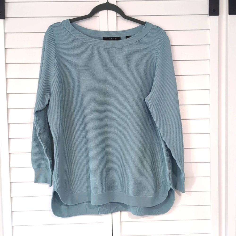 Cyrus Crew Neck Sweater 1X Seafoam Green